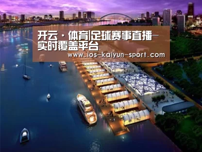 案例展示八